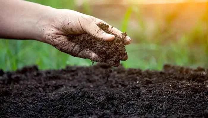 Sulfur Soil | Sulfur Mitti 300 gm - SOUL SOCIETY FOR ORGANIC FARMING
